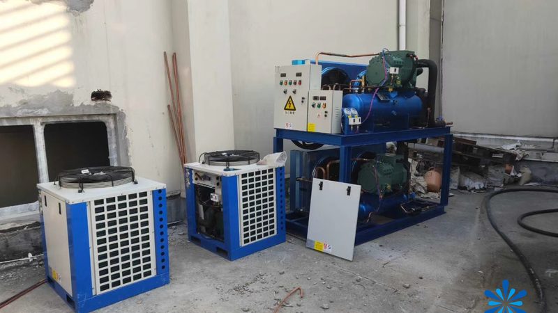 成都果蔬保鲜冷库工程：揭秘保鲜冷库设计与选型的关键要素